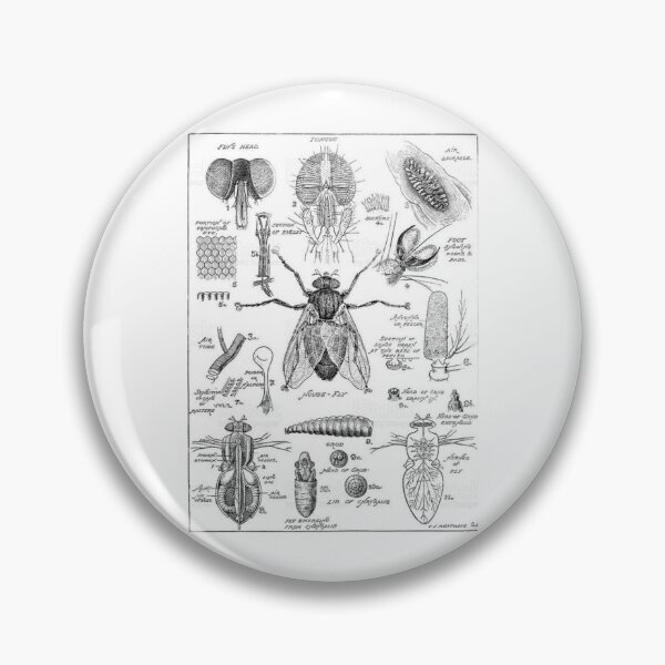 Item preview, Order Diptera designed and sold by PatronesKawai.