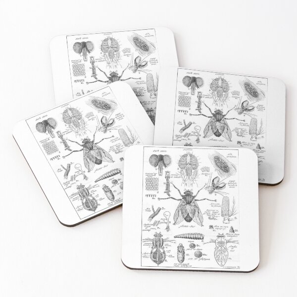Item preview, Order Diptera designed and sold by PatronesKawai.