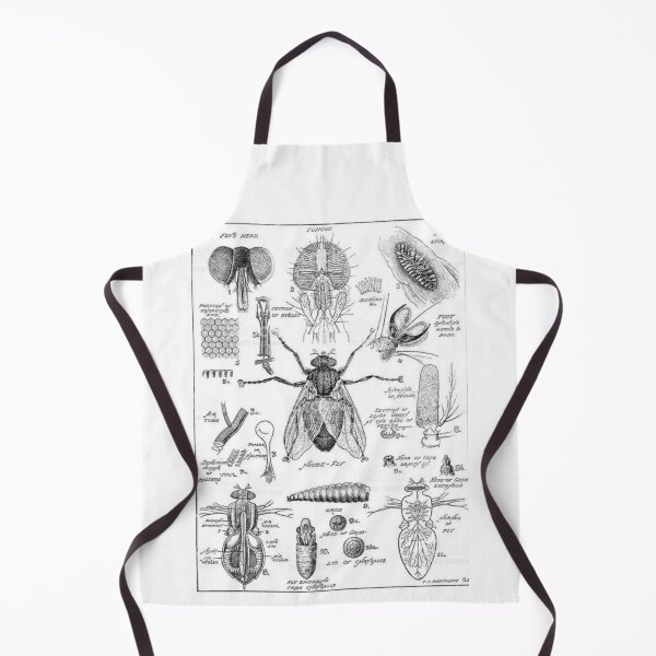 Item preview, Order Diptera designed and sold by PatronesKawai.