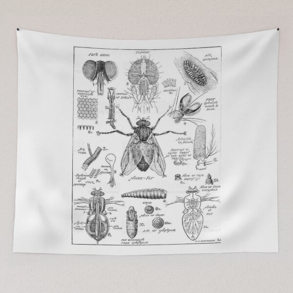 Item preview, Order Diptera designed and sold by PatronesKawai.