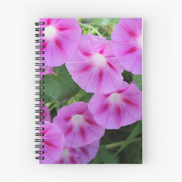 Item preview, Morning glory flowers designed and sold by McFleur's Lens.