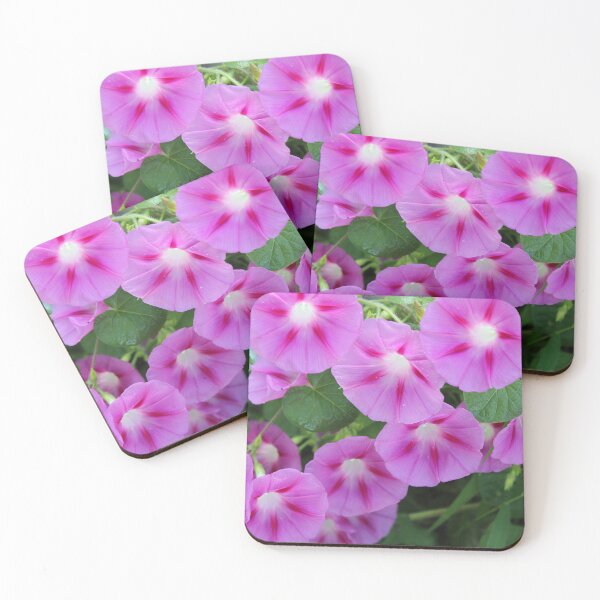 Item preview, Morning glory flowers designed and sold by McFleur's Lens.
