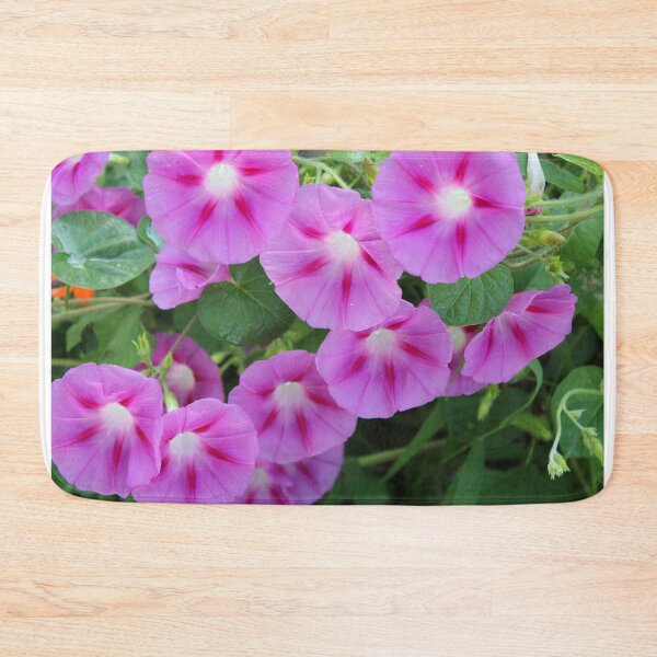 Item preview, Morning glory flowers designed and sold by McFleur's Lens.