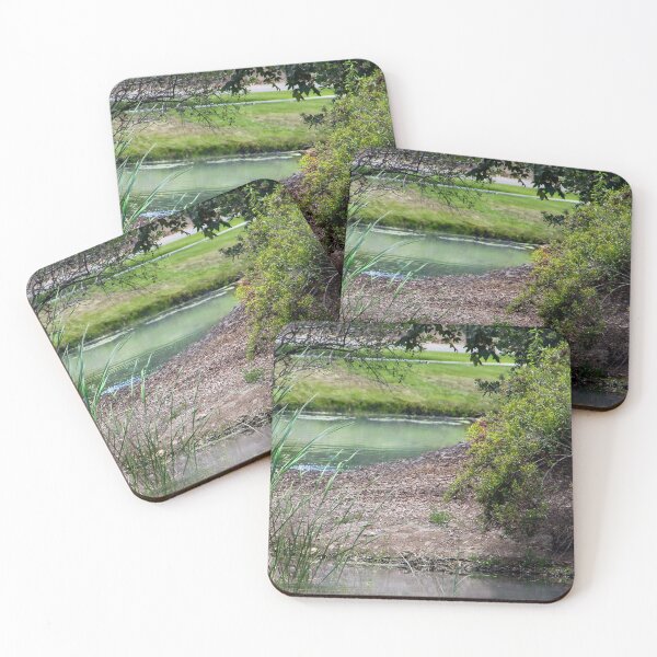 Item preview, San Diego Nature designed and sold by heatherfriedman.