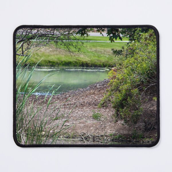 Item preview, San Diego Nature designed and sold by heatherfriedman.