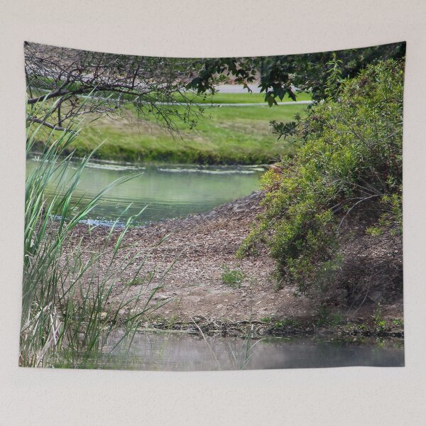 Item preview, San Diego Nature designed and sold by heatherfriedman.
