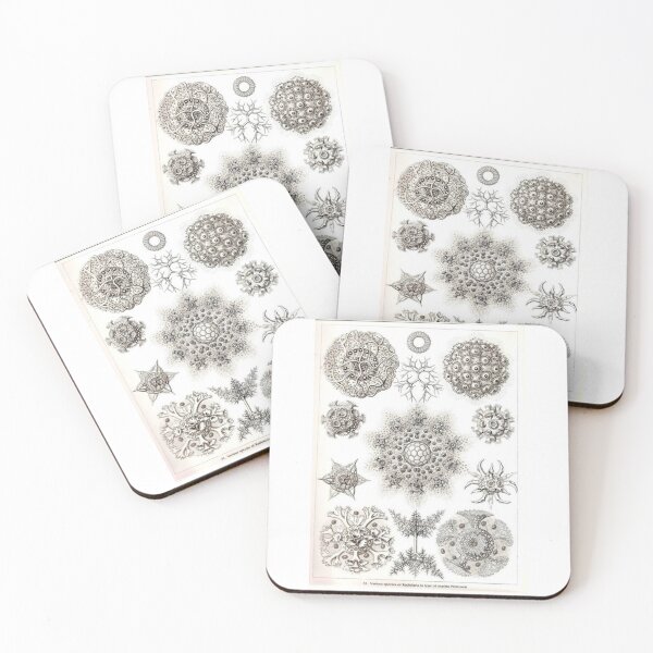 Item preview, Order Radiolaria designed and sold by PatronesKawai.