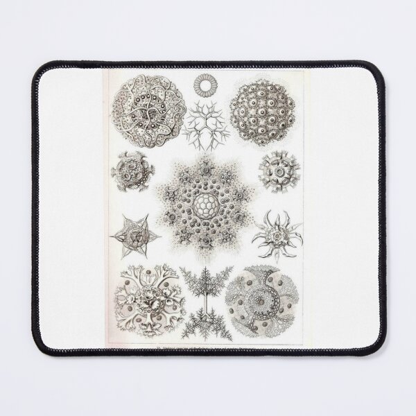 Item preview, Order Radiolaria designed and sold by PatronesKawai.