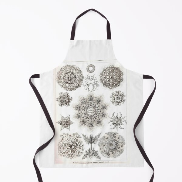 Item preview, Order Radiolaria designed and sold by PatronesKawai.