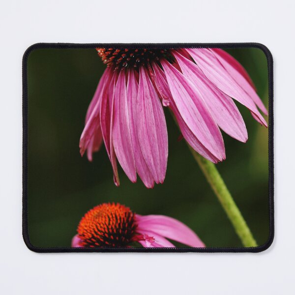 Item preview, Petals And Quills designed and sold by Debbie Oppermann.