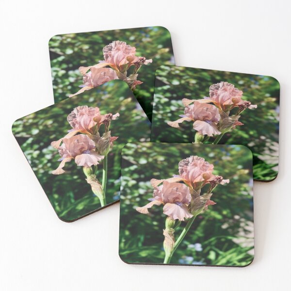 Item preview, Satin Irises  designed and sold by Angela Fazio.