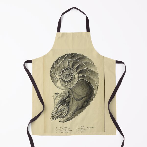 Item preview, Order Nautilida designed and sold by PatronesKawai.