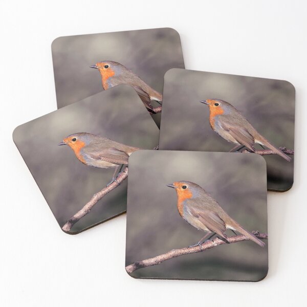Item preview, Robin designed and sold by Tom McPherson Photography.