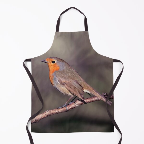 Item preview, Robin designed and sold by Tom McPherson Photography.