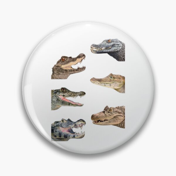Item preview, Order Crocodilians designed and sold by PatronesKawai.