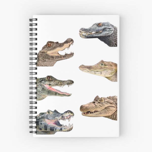Item preview, Order Crocodilians designed and sold by PatronesKawai.