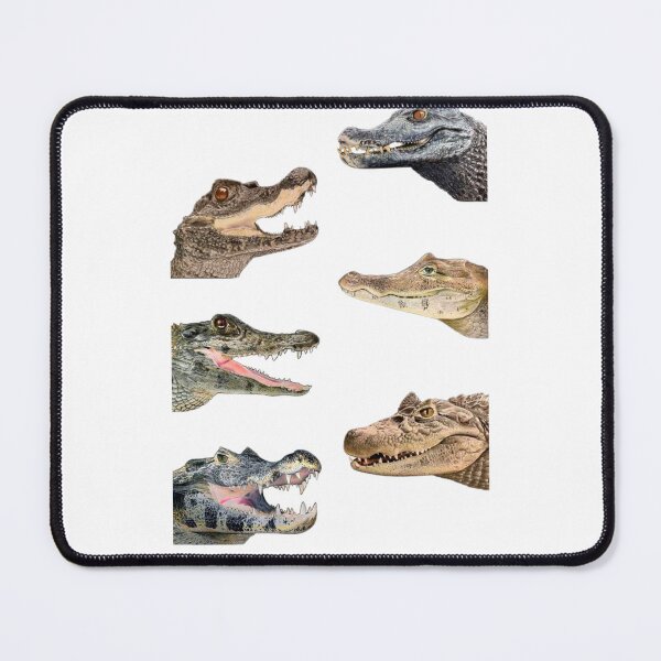 Item preview, Order Crocodilians designed and sold by PatronesKawai.