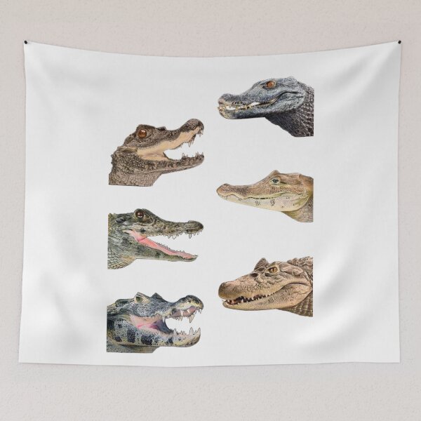 Item preview, Order Crocodilians designed and sold by PatronesKawai.