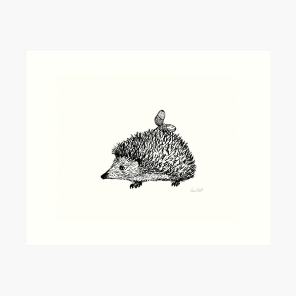 Hedgehog with acorns - hand drawn black line art Art Print