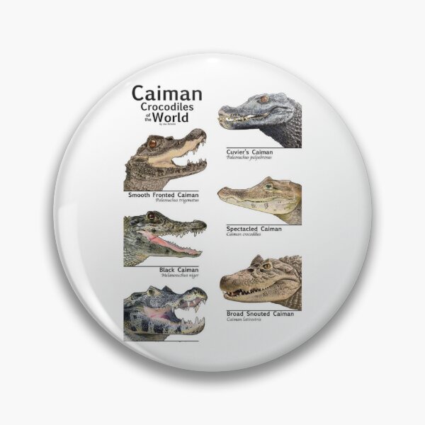 Item preview, Order Crocodilians designed and sold by PatronesKawai.