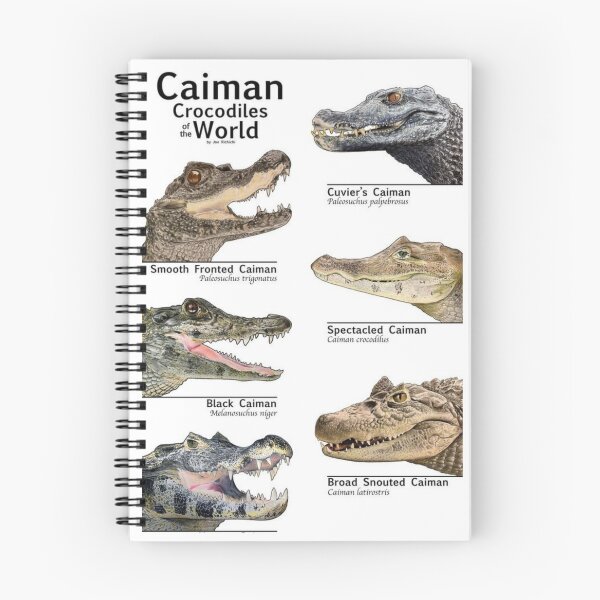 Item preview, Order Crocodilians designed and sold by PatronesKawai.
