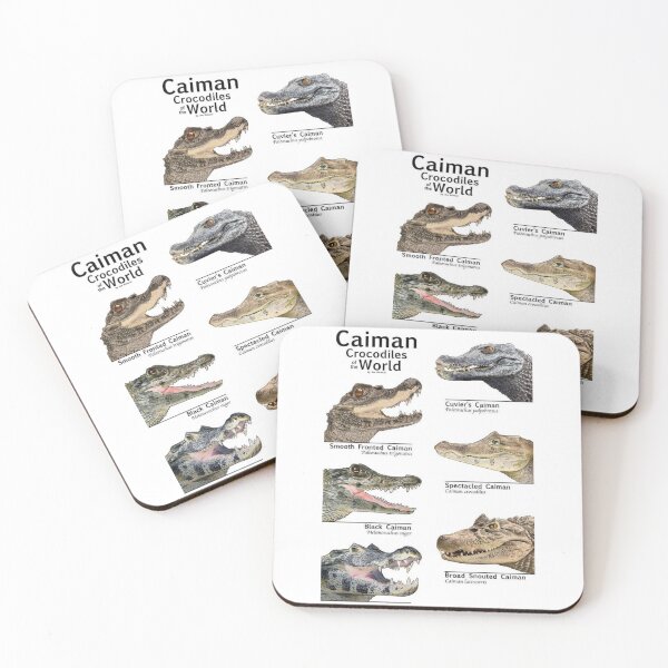 Item preview, Order Crocodilians designed and sold by PatronesKawai.