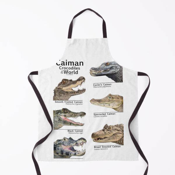 Item preview, Order Crocodilians designed and sold by PatronesKawai.