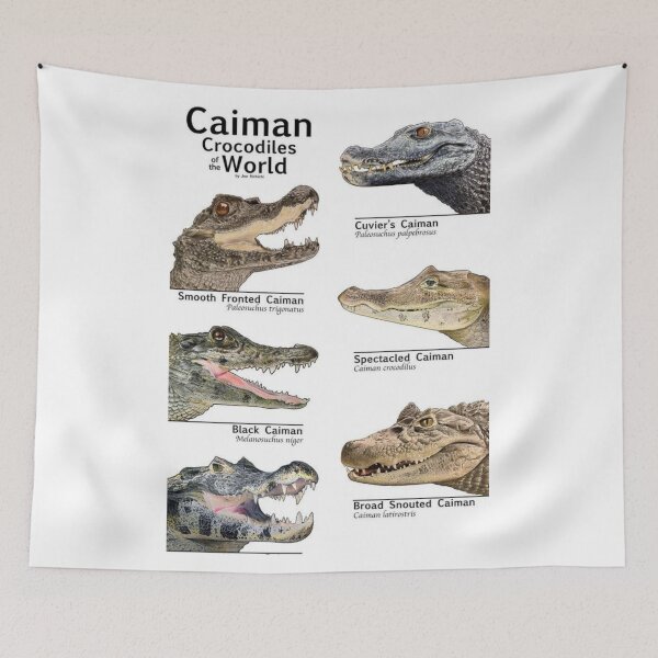 Item preview, Order Crocodilians designed and sold by PatronesKawai.