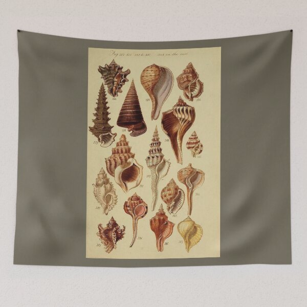 Item preview, Order Decapoda designed and sold by PatronesKawai.