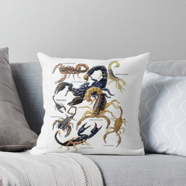 Item preview, Order Arachnida designed and sold by PatronesKawai.
