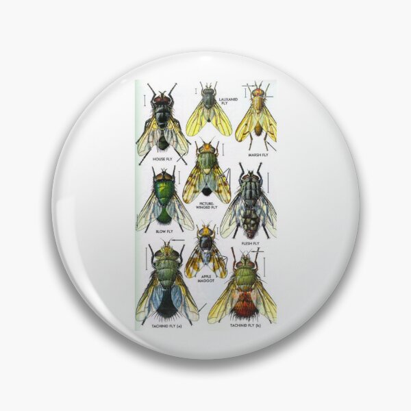 Item preview, Order Diptera designed and sold by PatronesKawai.