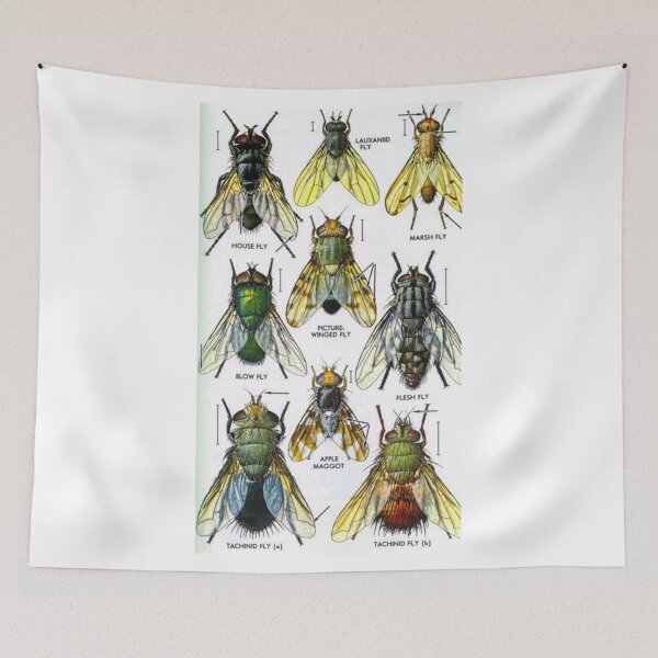 Item preview, Order Diptera designed and sold by PatronesKawai.