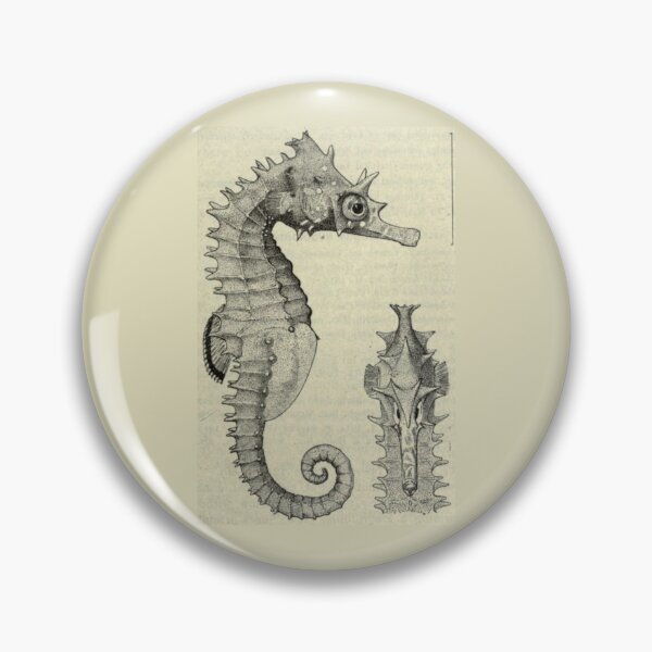 Item preview, Order Syngnathiformes designed and sold by PatronesKawai.