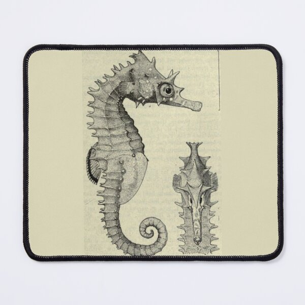 Item preview, Order Syngnathiformes designed and sold by PatronesKawai.