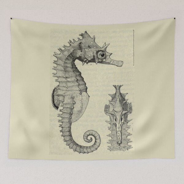 Item preview, Order Syngnathiformes designed and sold by PatronesKawai.