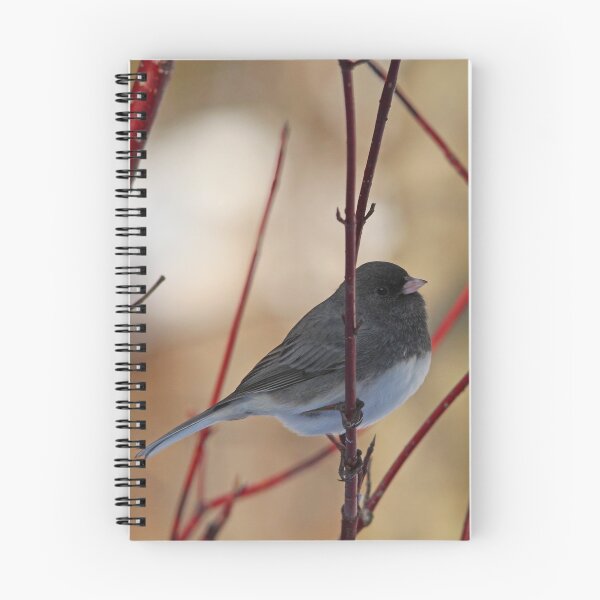 Item preview, Junco On Dogwood designed and sold by Debbie Oppermann.