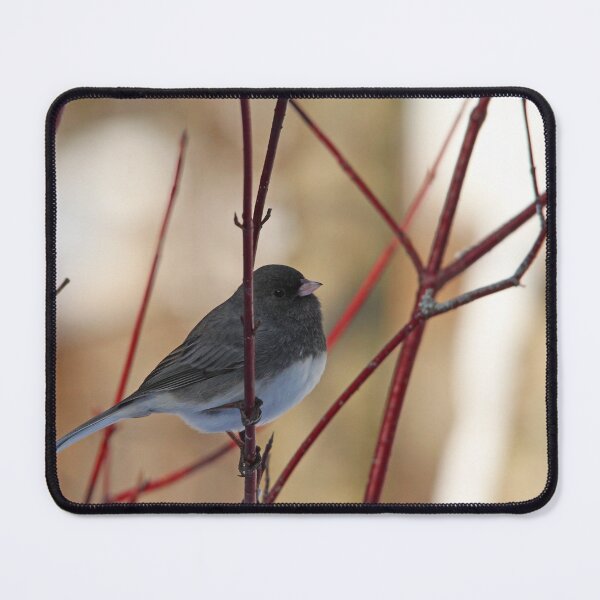 Item preview, Junco On Dogwood designed and sold by Debbie Oppermann.