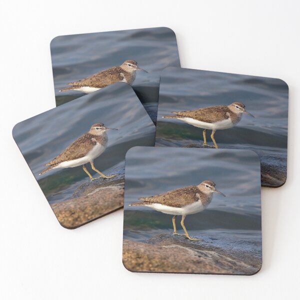 Item preview, Sandpiper designed and sold by Tom McPherson Photography.