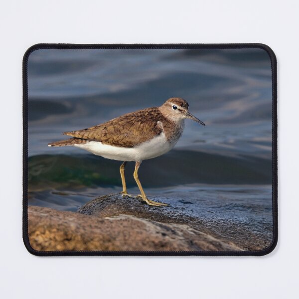 Item preview, Sandpiper designed and sold by Tom McPherson Photography.