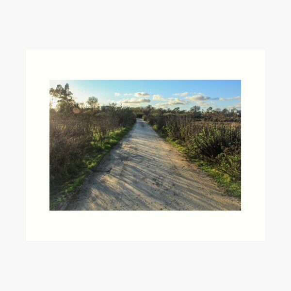 Item preview, Sun-Drenched Path at Madrona Marsh designed and sold by Scenic West - Photos by Angel.