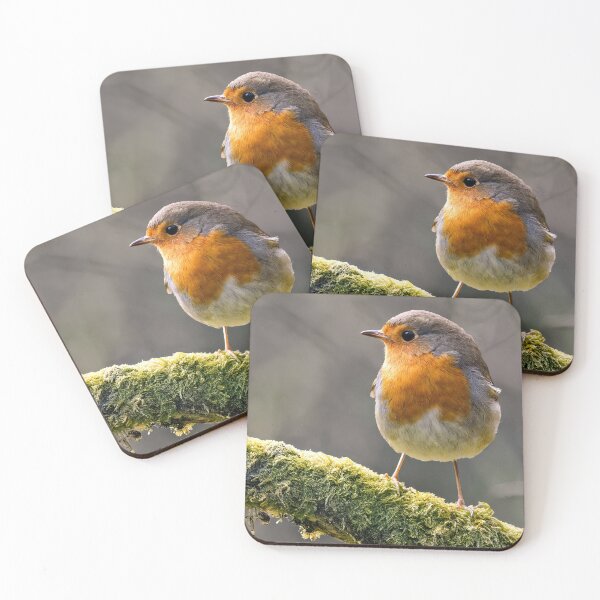 Item preview, Robin Redbreast designed and sold by Tom McPherson Photography.