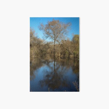 Item preview, Tree Reflection at Madrona Marsh designed and sold by Scenic West - Photos by Angel.