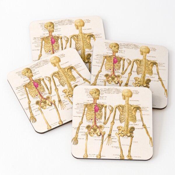Item preview, Anatomical Skeleton Plate Lithograph designed and sold by MAGGDDigital.