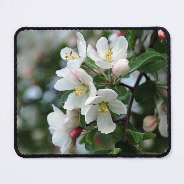 Item preview, Apple Blossoms designed and sold by Debbie Oppermann.