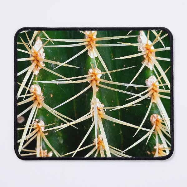 Item preview, Spiny Cactus designed and sold by bjtomiko.