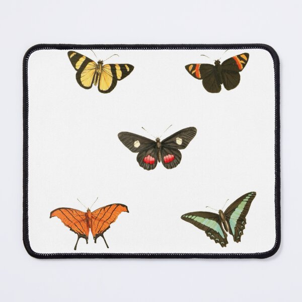 Item preview, vintage butterfly illustrations designed and sold by brueri.