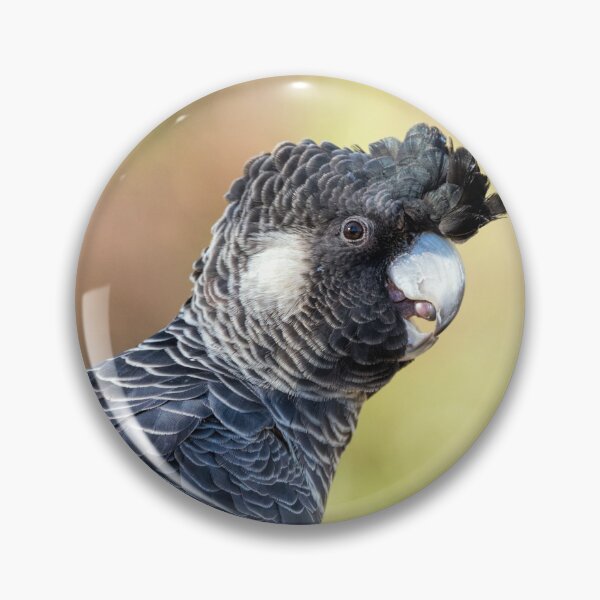 Item preview, Carnaby's Black Cockatoo designed and sold by Ladyshark.