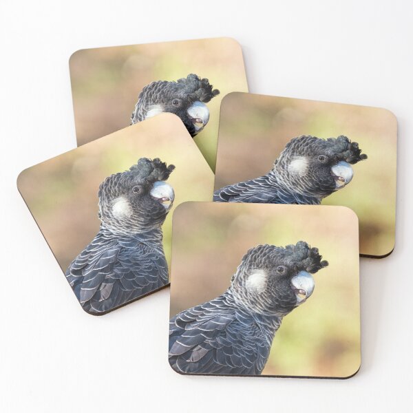 Item preview, Carnaby's Black Cockatoo designed and sold by Ladyshark.