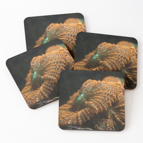 Item preview, Rhodactis Coral Mushroom designed and sold by FocusVibes.