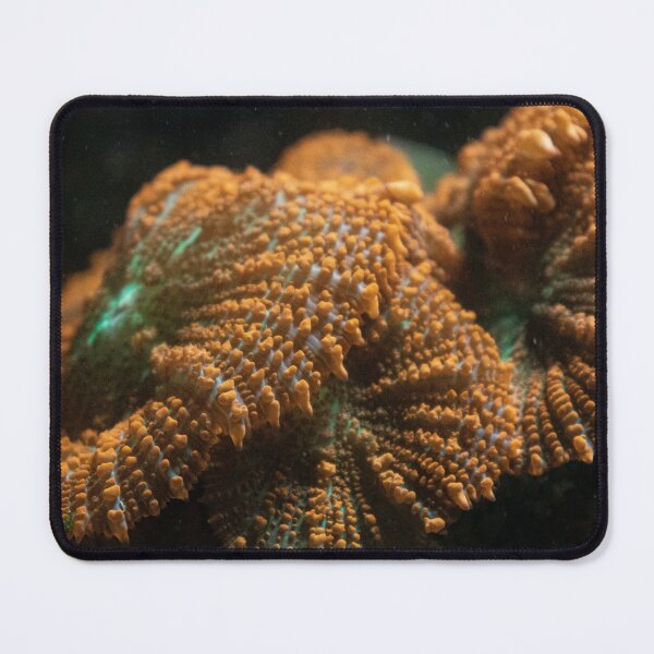 Item preview, Rhodactis Coral Mushroom designed and sold by FocusVibes.